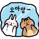 포천 개울가 가든 펜션 이미지