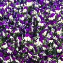 (주)태초 이미지