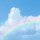 법률센터노동조합 이미지