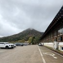 벽오동 | 전남 화순 맛집 한식 보리밥 재방문 후기_<벽오동>