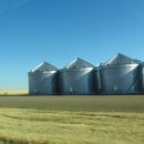 밀밭농장 이미지