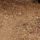 장군산길 이미지