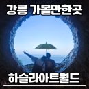 강릉방향 동군포IC | 강릉 하슬라아트월드 입장권 할인정보와 티켓예매링크공유 포토존까지 내돈내산 후기