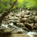 세석가는길 이미지