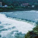 에스제이스포츠 이미지