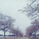 불이채민박 이미지