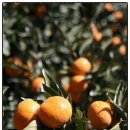 줌바피트니스 이미지