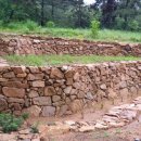 낭만농장 이미지