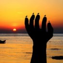 포항시청 이미지