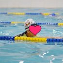 토이키즈 스윔클럽 이미지