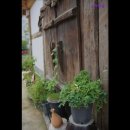 스카이빌고시텔 이미지