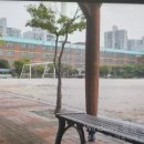 서울오륜초등학교 이미지