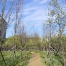 구로-구로-구로-781 이미지