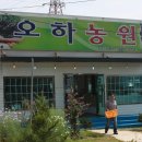 109포도 - 17334 | 109포도