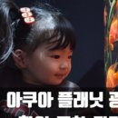 인어루트