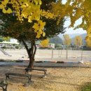 조령분교 이미지