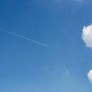 팰리스한의원 이미지