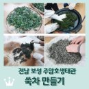주암호 생태습지 | 전남 보성 &lt;보성주암호생태관&gt;: 쑥차 만들기 체험(우리 몸에 약이 되는 식물)