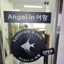 엔젤인어항 | 온양온천역 카페 엔젤인어항 방문후기