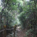 산내들내 이미지