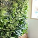 보개초등학교 이미지