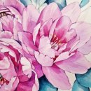 장촌초등학교 이미지