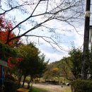 대흥민박 이미지