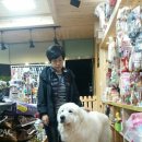센스펫