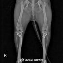 티어하임 동물병원 이미지