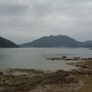 수성그린비 이미지