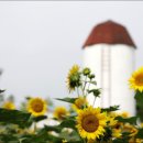 아담농장 이미지