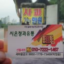 시온청과 이미지