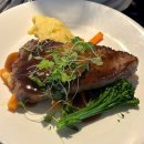 캡틴하우스 | [호주/시드니] 시드니 디너크루즈 선상식 3코스 특식 캡틴쿡 크루즈 후기