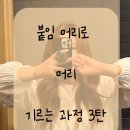 용봉동 20-8 | 광주 붙임머리 전대후문 용봉동 미용실 끼헤어 머리 기르는 과정 후기