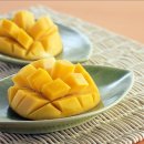 Best Photo Family 이미지