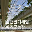 베리굿체험농장 이미지