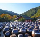 경상북도 성주군 교통약자이동지원센터 | 제주뉴스20251206토요일, 경북뉴스20251206토요일, 전남뉴스20251206토요일