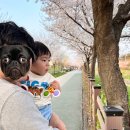 검단아라태평양약국 이미지