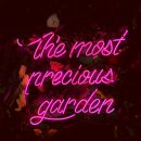 산책하는 고양이 이미지