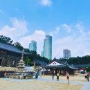 예술광장1로교통섬-현대아파트 앞 이미지