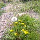 척과농장 이미지