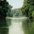 POP자격증 이미지