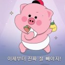 개러지세계맥주