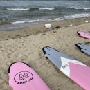 양철지붕위의고양이 이미지