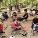 벽진초등학교병설유치원 이미지