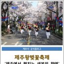 (제주시) 제주왕벚꽃축제 이미지