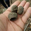 꿀벌체험장 이미지