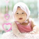 레몬트리 이미지