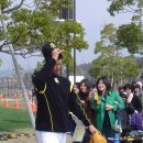 매대52번 Daum카페