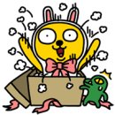 후후박스 이미지